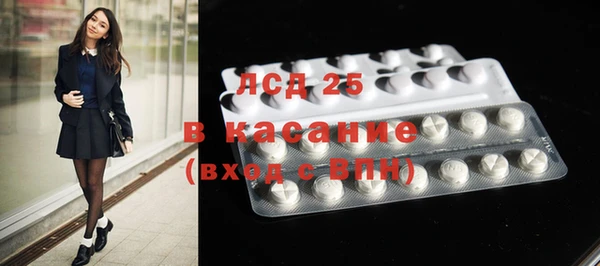 шишки Баксан