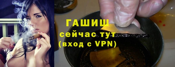 стаф Покачи