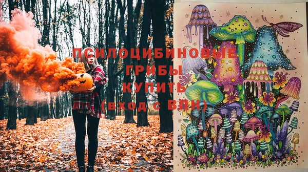 прущая мука Белокуриха