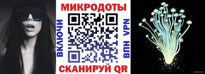 Галлюциногенные грибы Cubensis  где найти   Верхняя Тура 